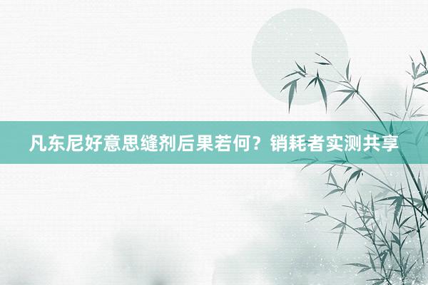 凡东尼好意思缝剂后果若何？销耗者实测共享